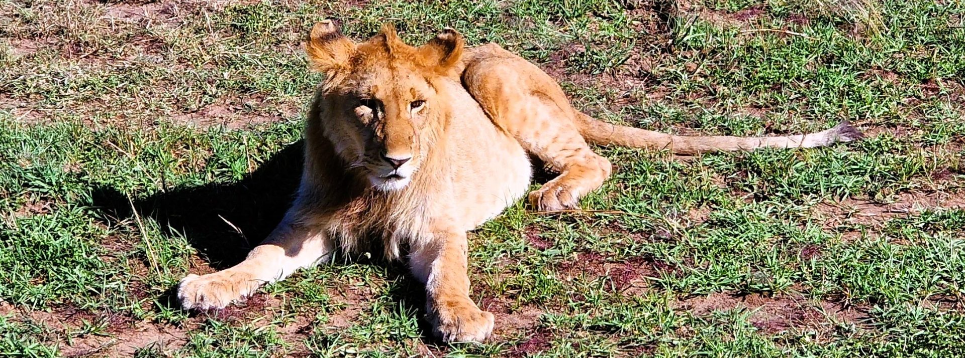 10-daagse safarireis Kenia