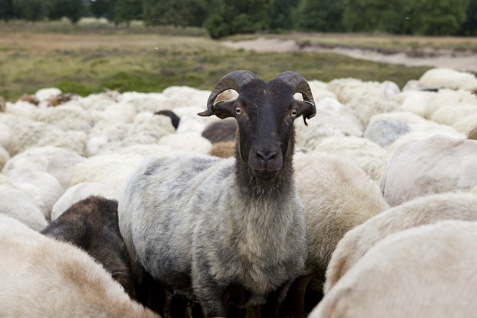 5 daagse zorgvakantie in drenthe